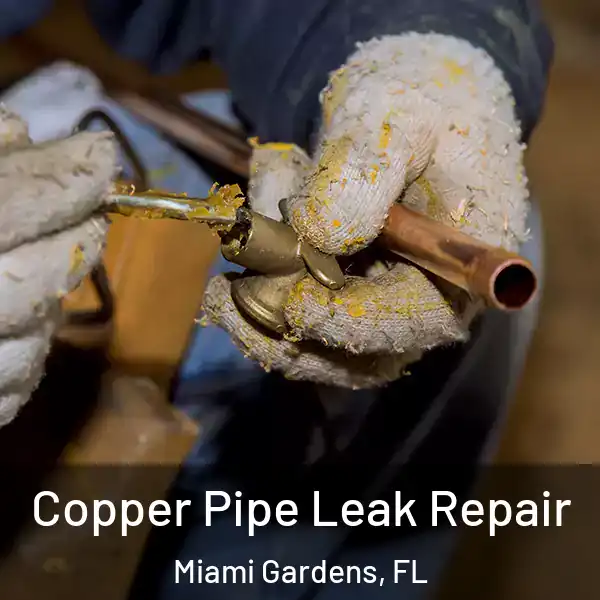  Copper Pipe Leak Repair Miami Gardens, FL
