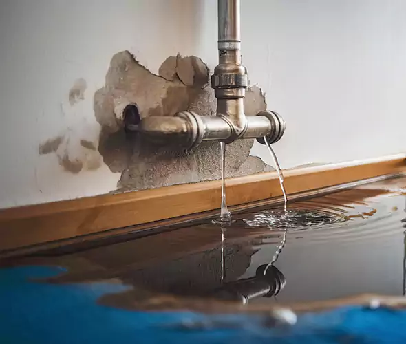Professional Water Damage Restoration Experts in Miami Gardens, FL — Fast, Reliable & Certified