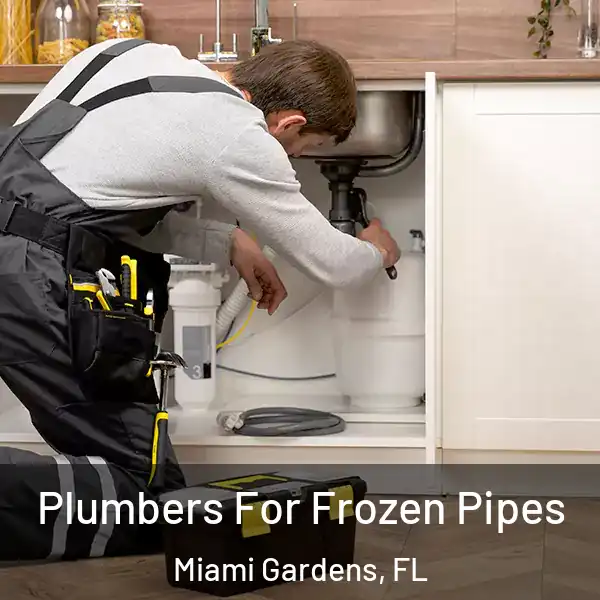  Plumbers For Frozen Pipes Miami Gardens, FL