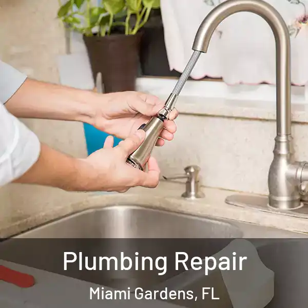  Plumbing Repair Miami Gardens, FL