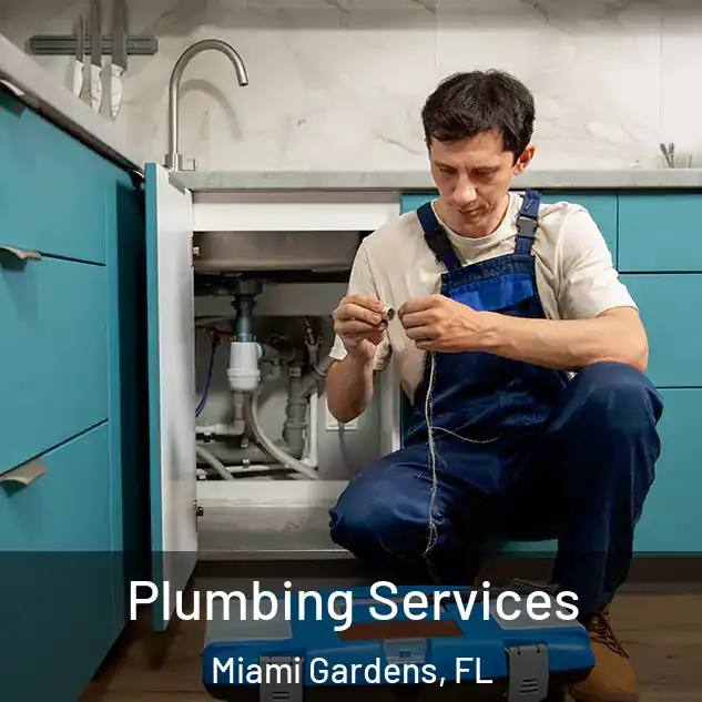 Plumbing Services Miami Gardens, FL