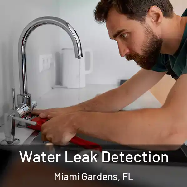  Water Leak Detection Miami Gardens, FL
