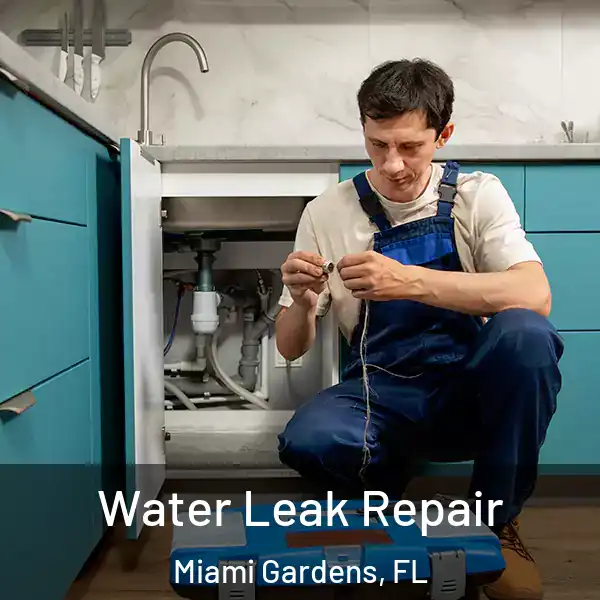  Water Leak Repair Miami Gardens, FL